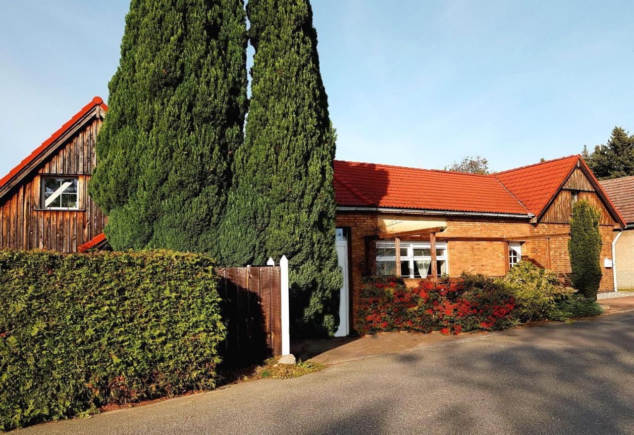 Auszeit Wohnung Hof Narla Bahnsdorf 外观 照片